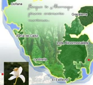 Mapa Parque Natural Los Alcornocales